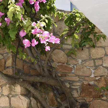 Cute Seafront Escape For 3 Pátmos